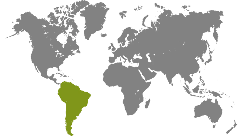 Cobertura nacional e internacional